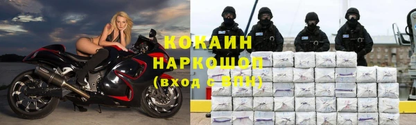 стаф Богданович