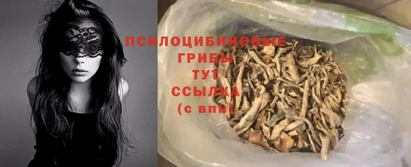 сатива Богородск