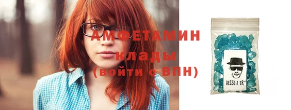 стаф Богданович