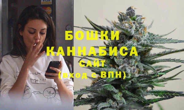 стаф Богданович