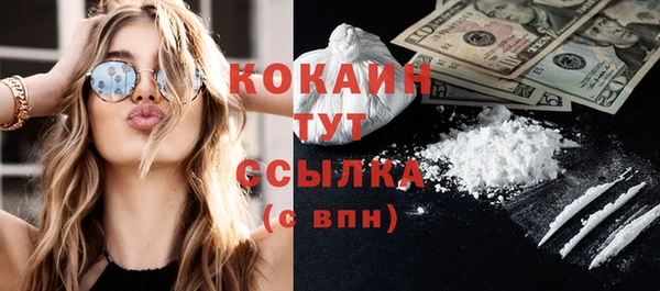 стаф Богданович