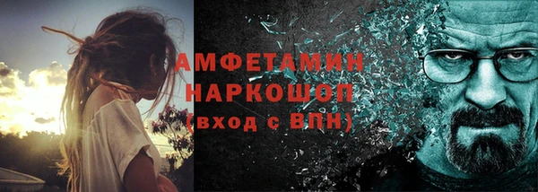 стаф Богданович