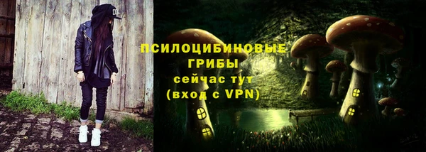 2c-b Богородицк