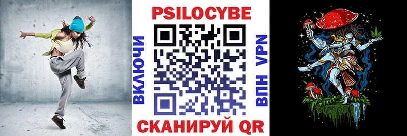 Галлюциногенные грибы Psilocybe  Мелеуз 